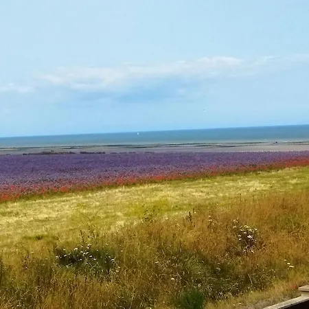 Harmonie Cotiere - Belle Maison Neuve Bord De Et Plages Du Debarquement * Ver-sur-Mer
